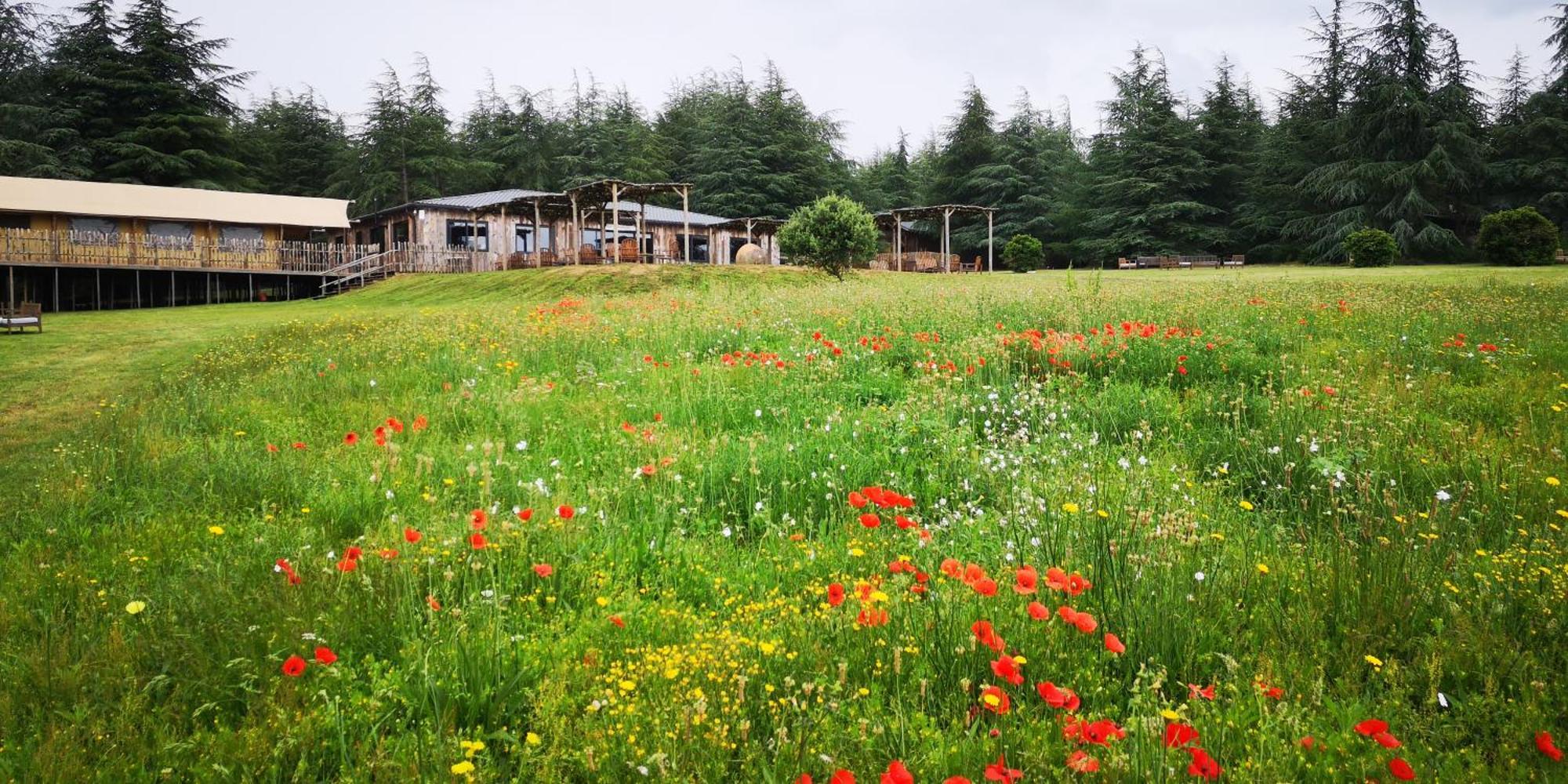 Domaine De La Vitarelle Glamping Villaniere Экстерьер фото