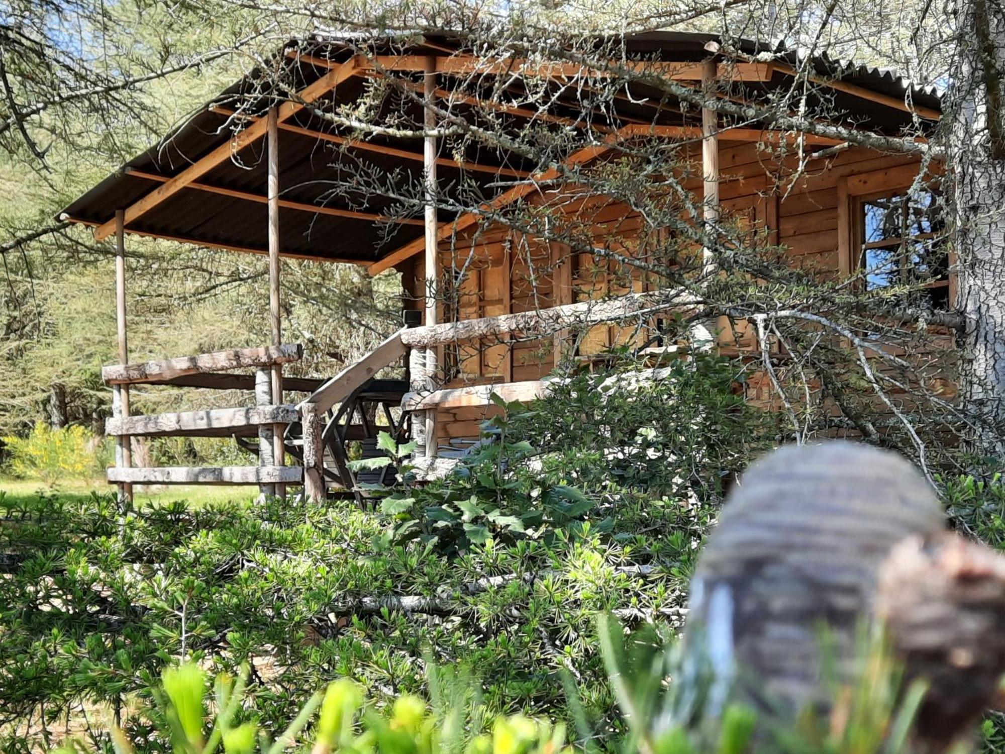 Domaine De La Vitarelle Glamping Villaniere Экстерьер фото