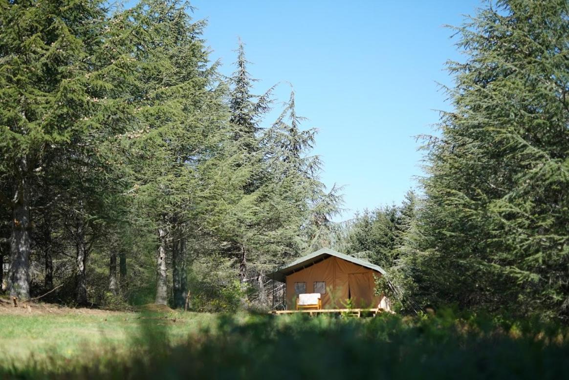 Domaine De La Vitarelle Glamping Villaniere Экстерьер фото